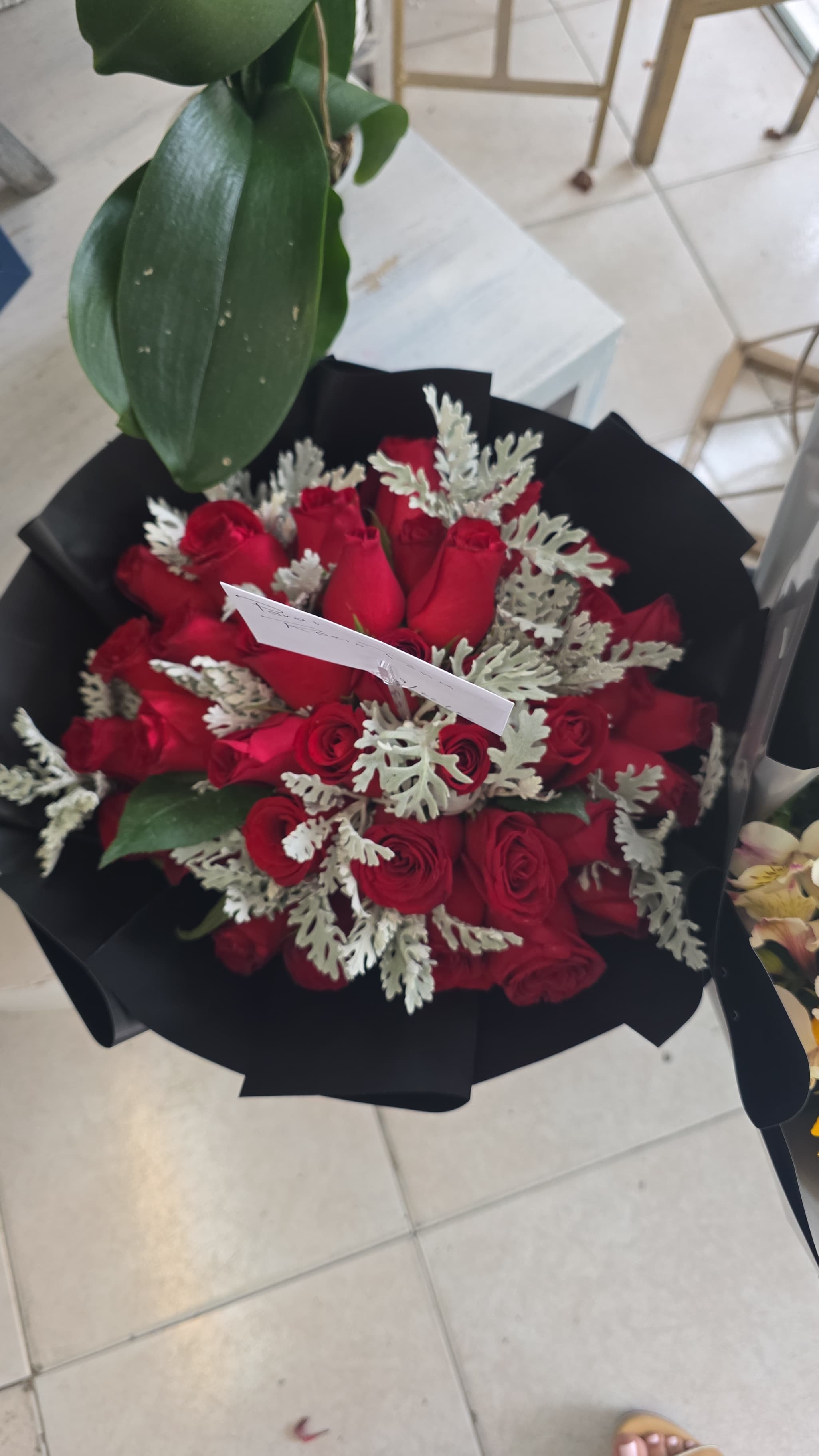 Pasión de rosas